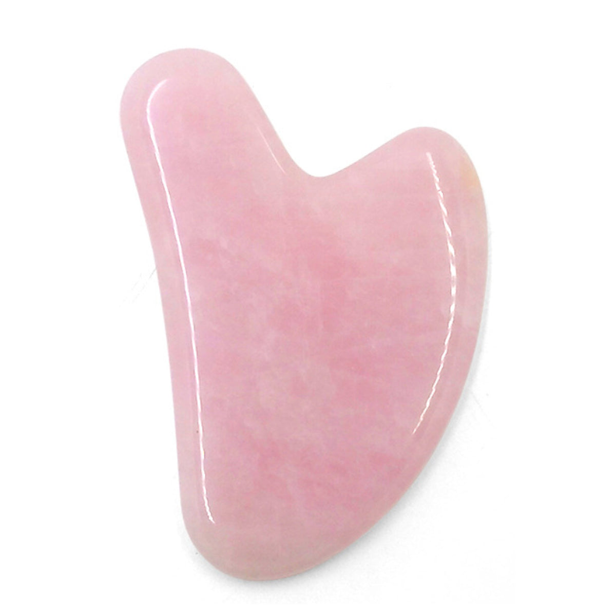 ELERA Gua Sha Facial Tool, Gua Sha Massage Tools for Full Body Care